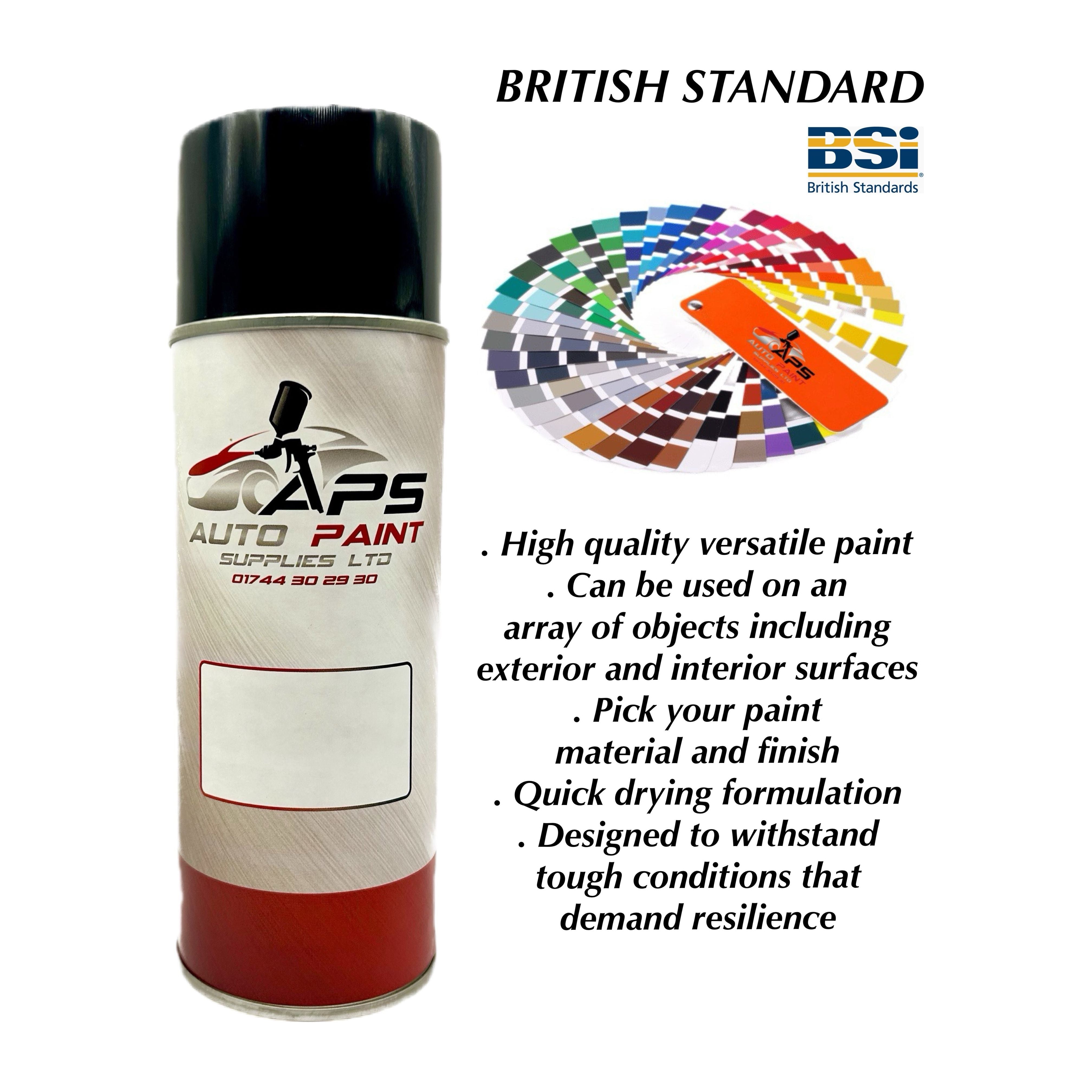 BRITISH STANDARD COLOURED AEROSOL CHOOSE BETWEEN PAINT MATERIAL & FI