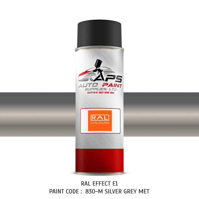 RAL effect paint code 830-M Silver grey metallic