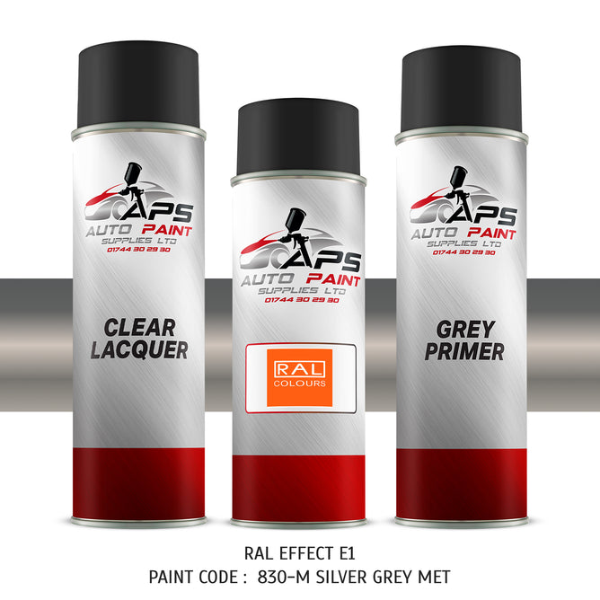 RAL effect paint code 830M Silver grey metallic